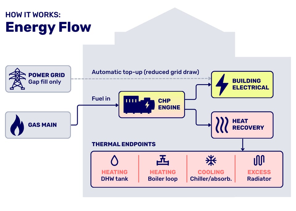 CHP Energy Flow infographic