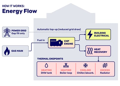 What Is CHP? A Practical Guide to Combined Heat and Power for Commercial & Industrial Facilities
