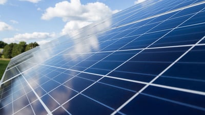 Why Does Your Business Need to Consider Community Solar?