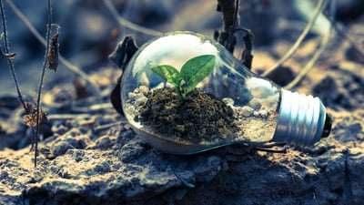 Middle Market Businesses and the Fight Against Climate Change