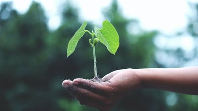 Why Customers Love Catalyst Power